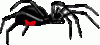 spinne_0116.gif