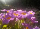DSCN3502.webp