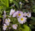 DSCN3515 (2).webp
