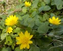 DSCN3516 (2).webp