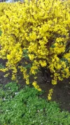20170318_144228.webp