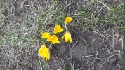 20170320_095710(0).webp