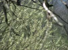 IMG_0911.webp