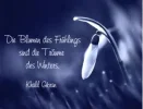 Blumen.webp