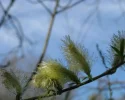 IMG_0919 (2).webp