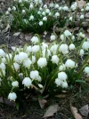 Foto0175.webp