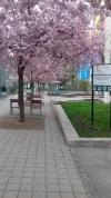 20170324_162612.webp