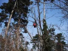 DSCF9538.webp