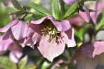K1024_DSC_6701.webp