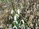 20170304_133227.webp