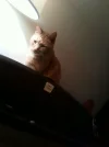 Foto0131.webp