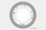 Horoskop.webp