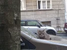 20170328_182957.webp