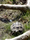 002.webp