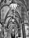 DSCF9581 (5).webp