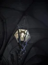 DSCF9583 (3).webp