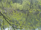 DSCN3554.webp