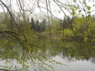 DSCN3556.webp