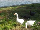 20161024_121732.webp
