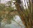 DSCN3560 (2).webp
