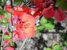 PICT0009.webp