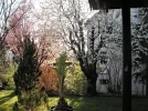 PICT0001.webp