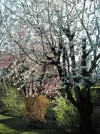 PICT0005.webp