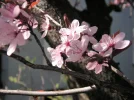 PICT0008 (1).webp