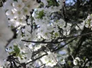 PICT0005.webp