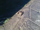 Foto0195.webp