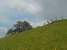 DSCN3588 (2).webp