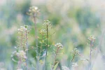 K1024_DSC_7038 (3).webp