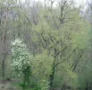 IMG_1054 (2).webp