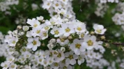 20170401_193147.webp