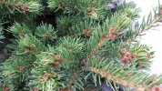 20170401_193755.webp