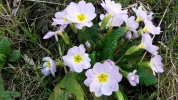 20170314_170825.webp