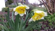 20170314_170729.webp