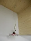 005.webp