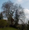 DSCN3590 (2).webp