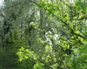 IMG_1200 (2).webp