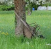 IMG_1195 (2).webp
