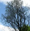IMG_1192 (2).webp