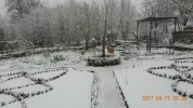 Wintereinbruch 009.webp