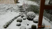 Wintereinbruch 004.webp