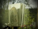 P4170213.webp