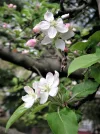 PICT0008.webp
