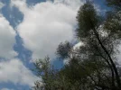 DSCN3608.webp