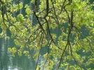 IMG_1219.webp