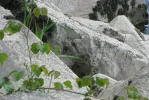 IMG_1261 (2).webp