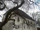 DSCN3582.webp